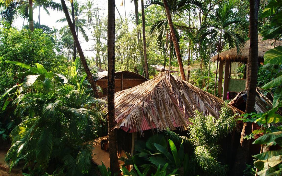 Photo of Others in Palolem