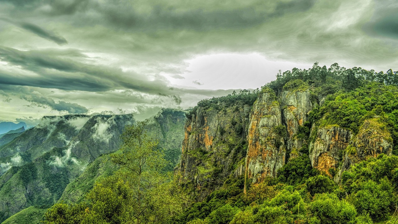 Photo of Others in Vattakanal