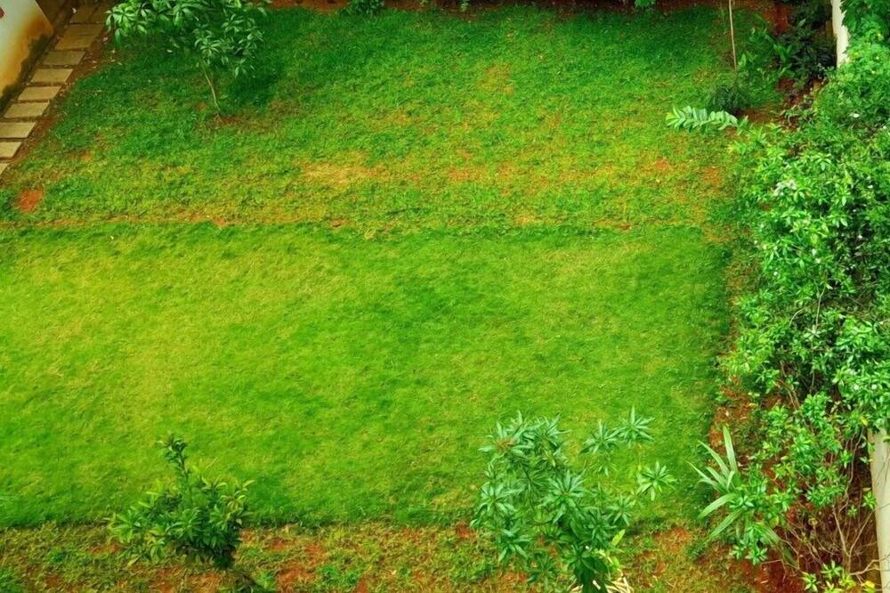 Photo of Outdoor in Bengaluru