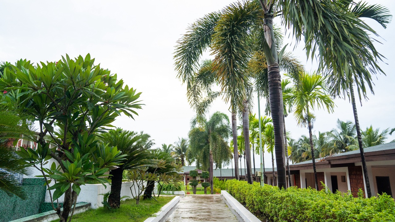 Photo of Outdoor in Ganpatipule