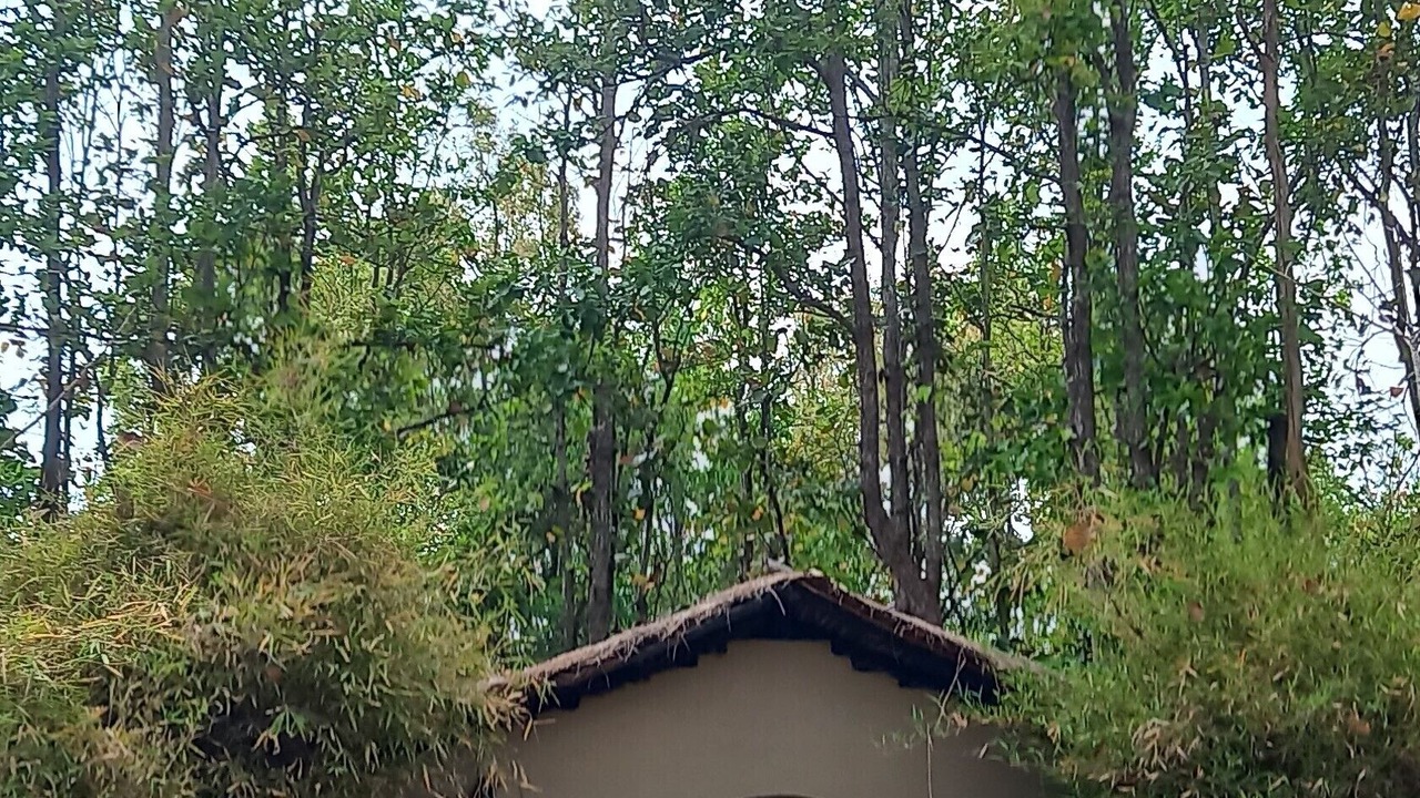 Photo of Others in Mukki