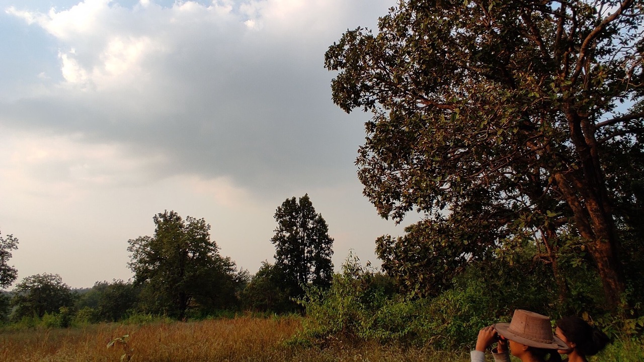 Photo of Outdoor in Mukki