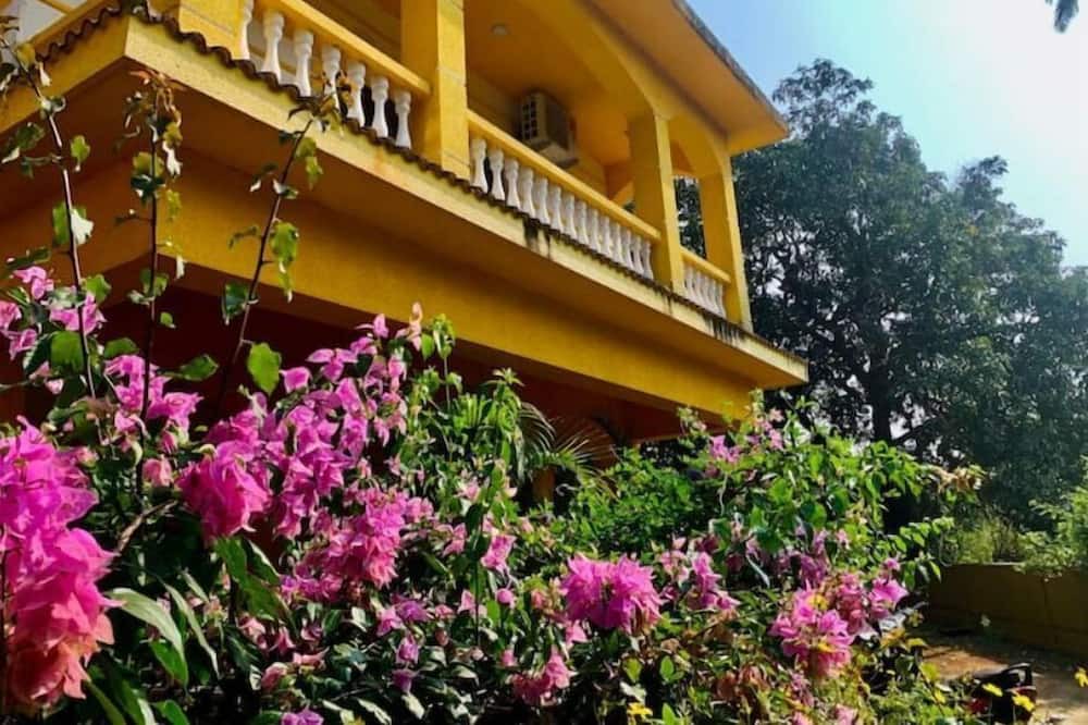 Photo of Outdoor in Kudal