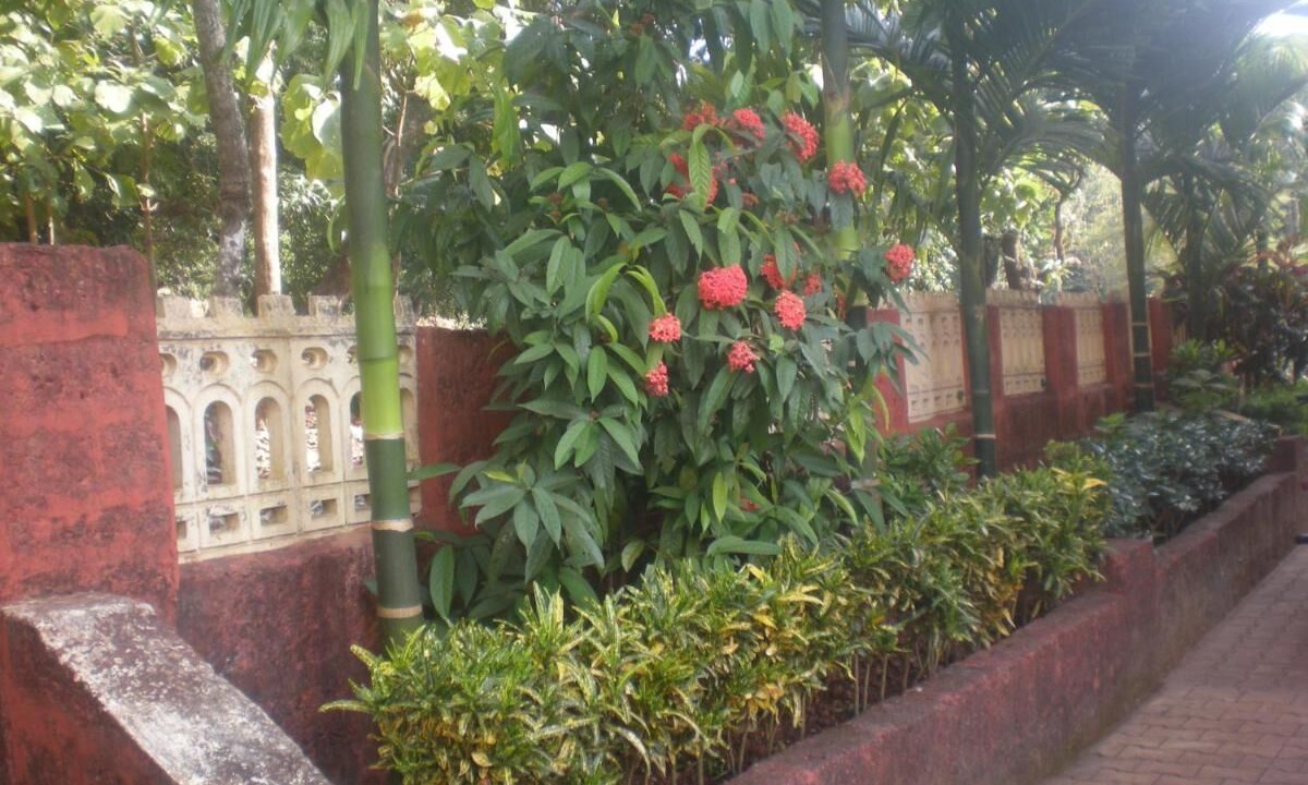 Photo of Outdoor in Ganpatipule