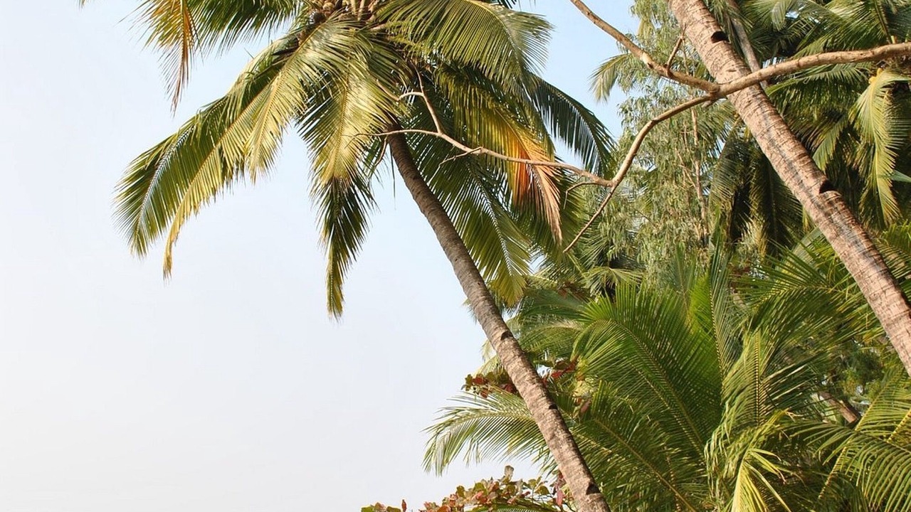 Photo of Outdoor in Cavelossim