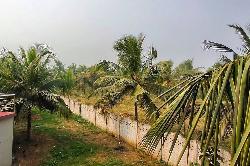 Photo of Patio Balcony in Konark
