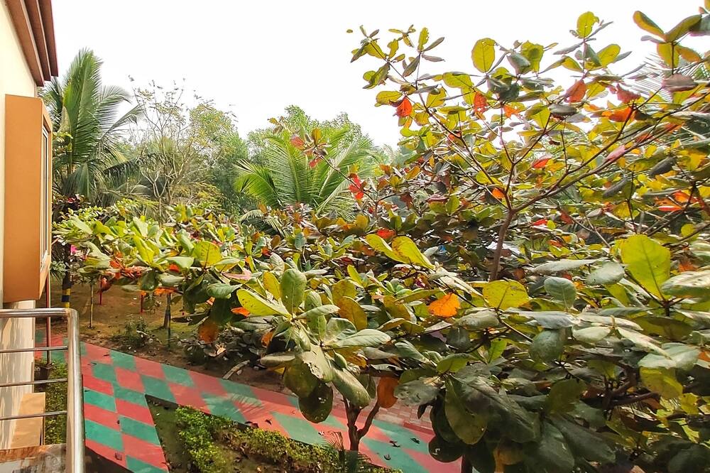 Photo of Patio Balcony in Konark