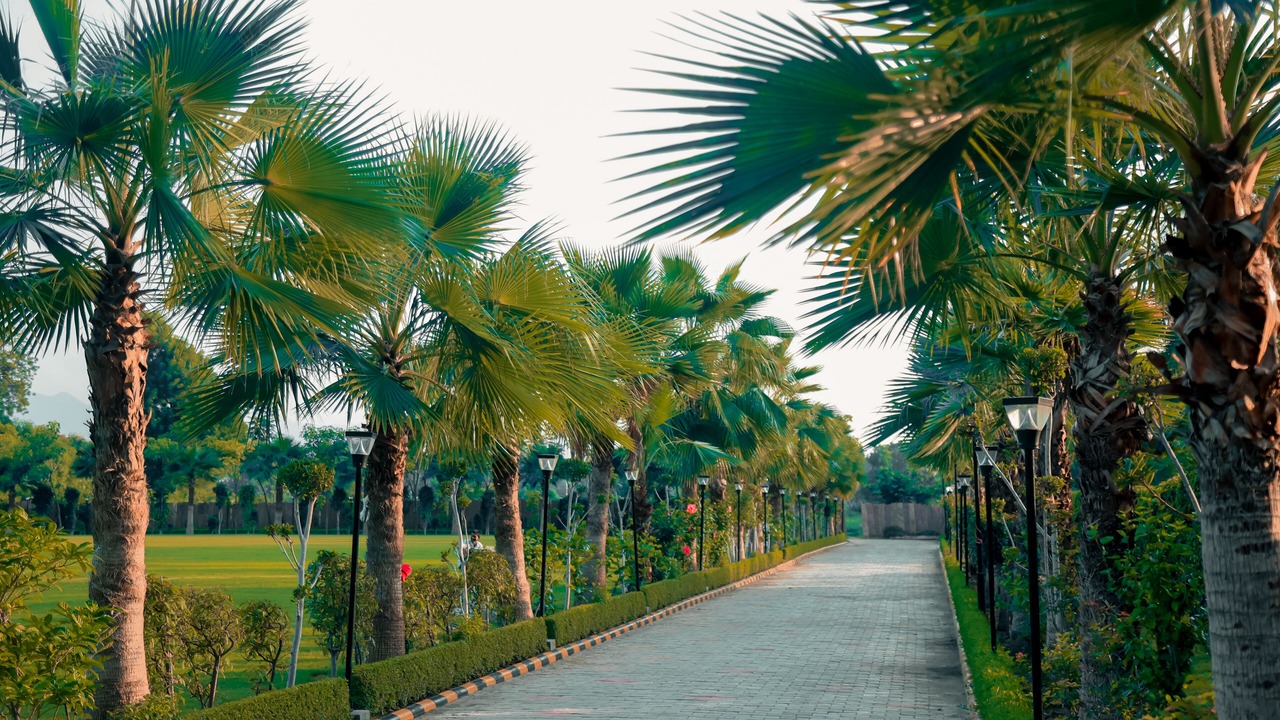 Photo of Outdoor in Desuri