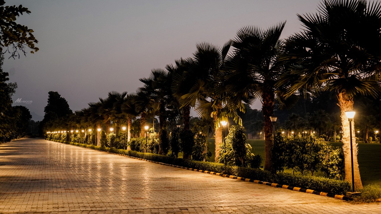 Photo of Outdoor in Desuri