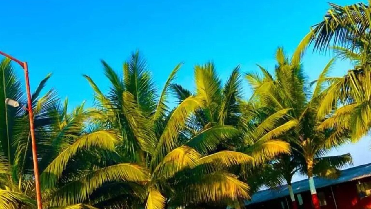 Photo of Outdoor in Mhsala
