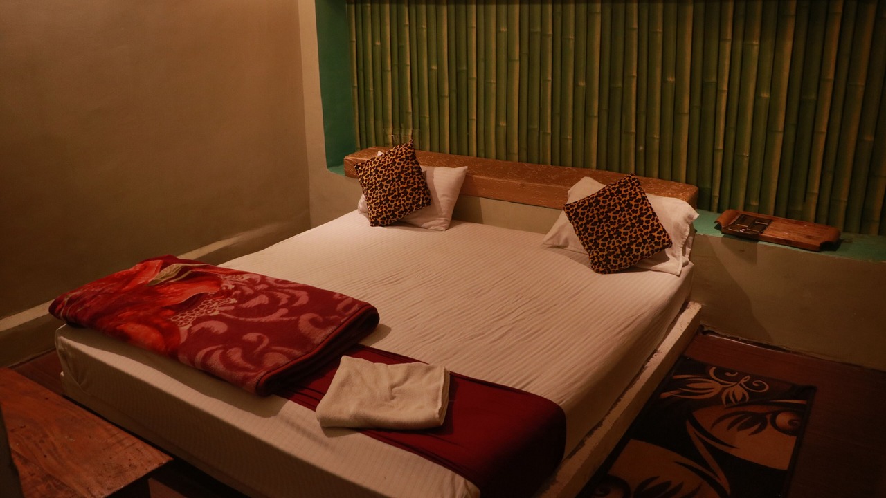 Photo of Bedroom in Baihar