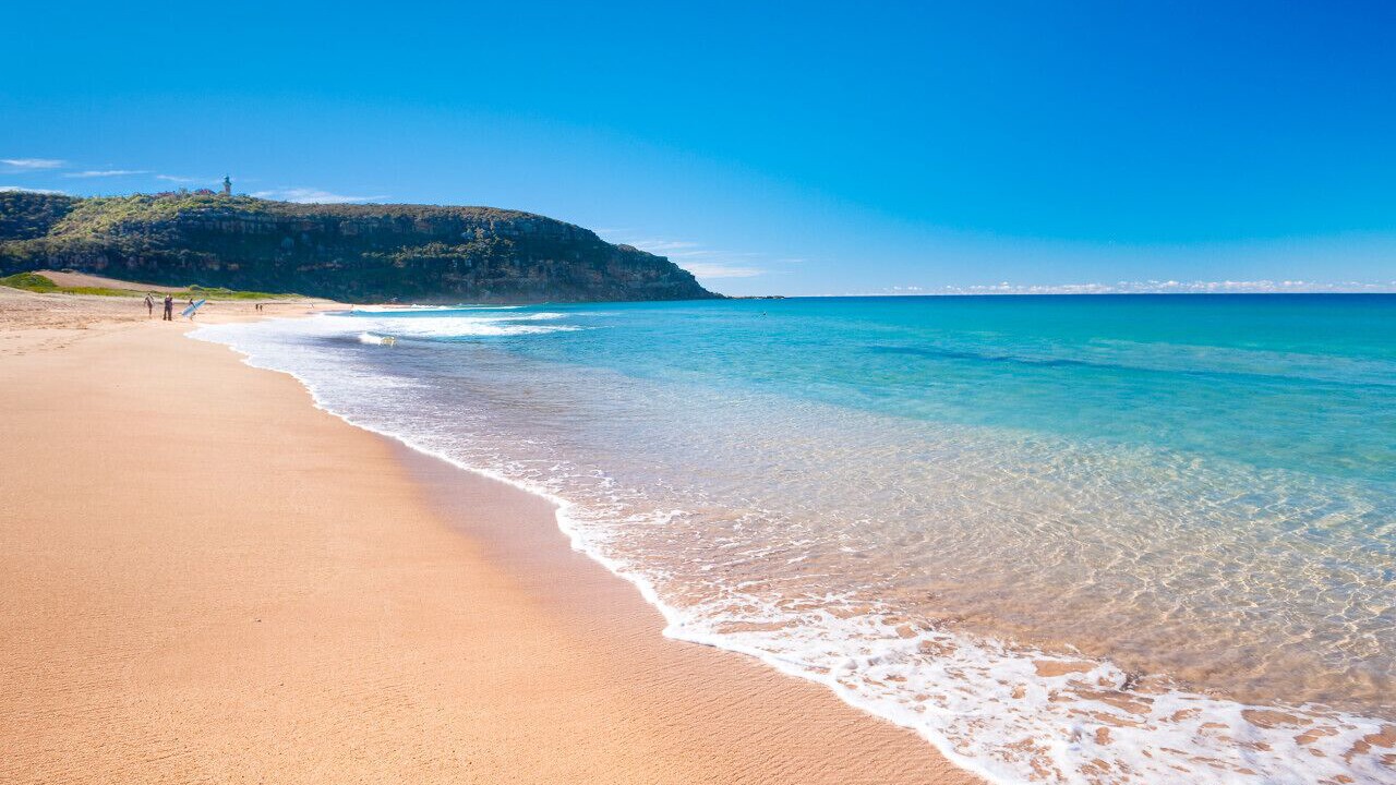 Photo of Others in Whale Beach