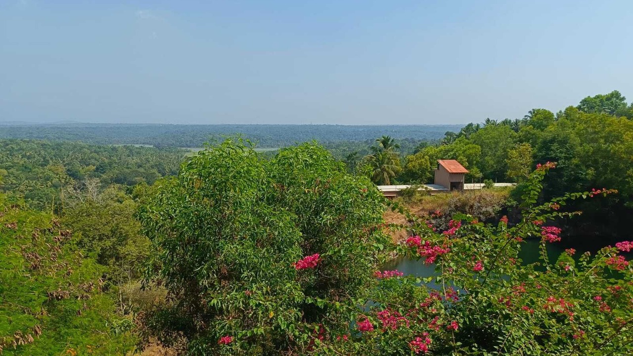 Photo of Outdoor in Thiruvananthapuram