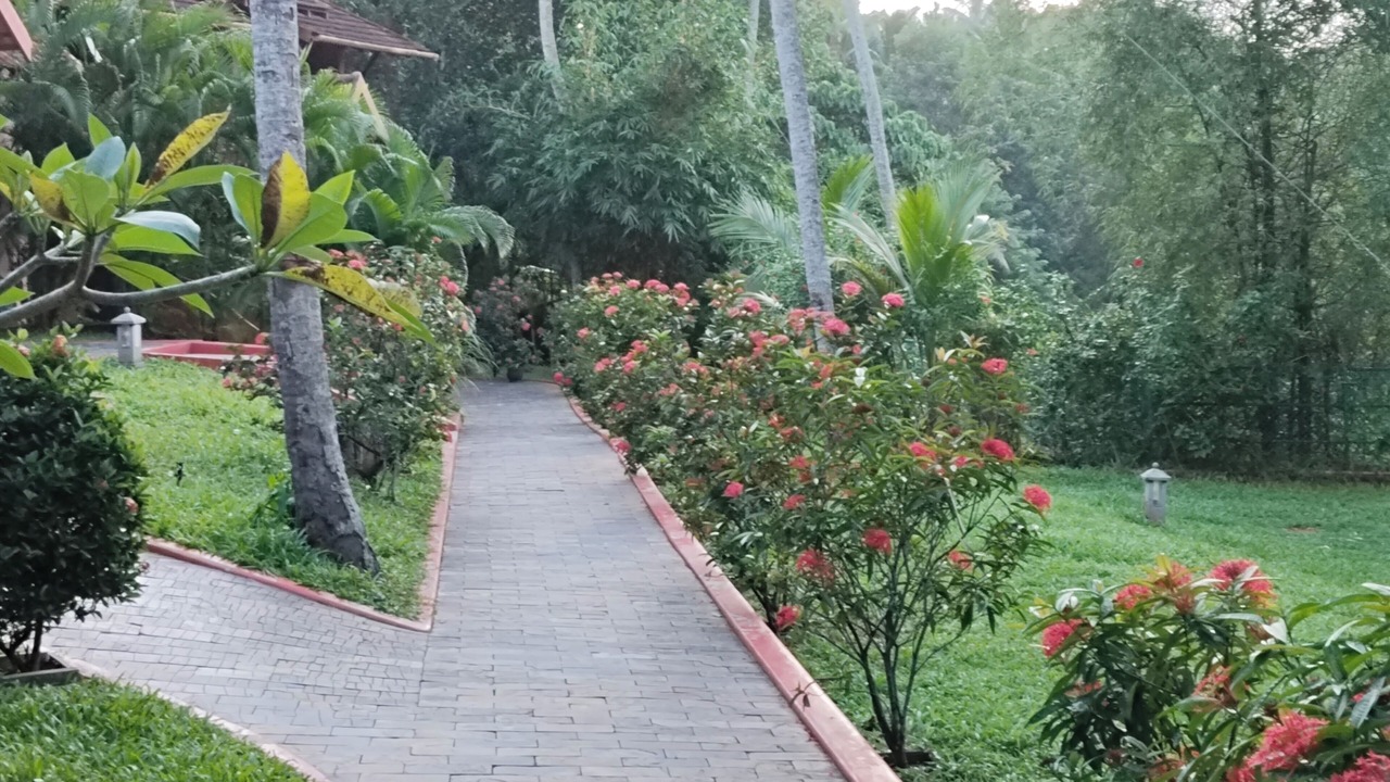 Photo of Outdoor in Thiruvananthapuram