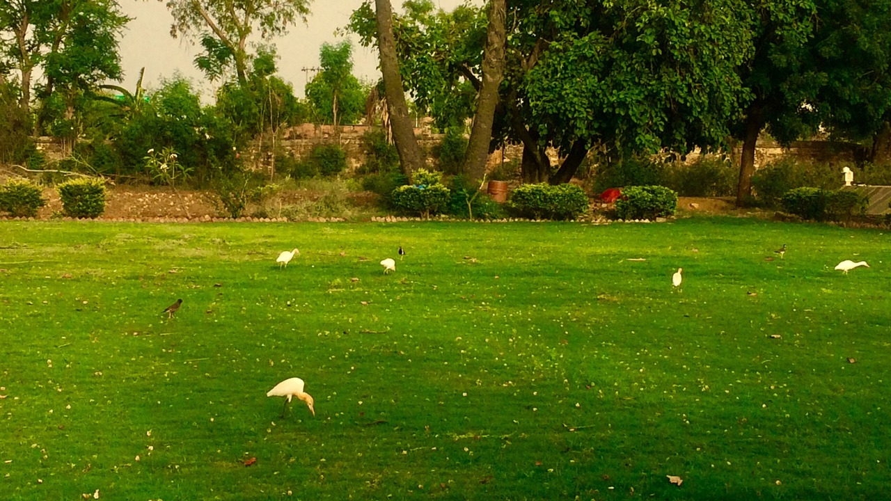 Photo of Outdoor in Devgarh