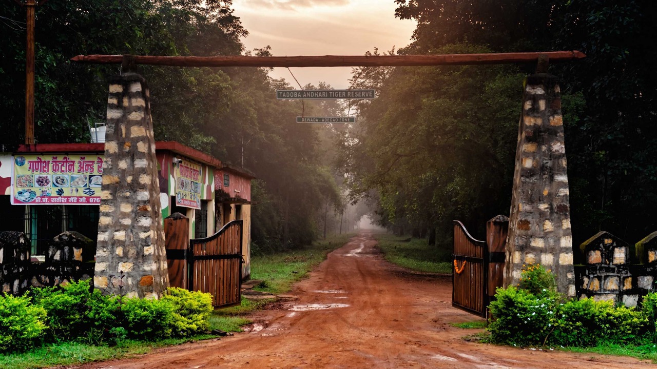 Photo of Outdoor in Moharli