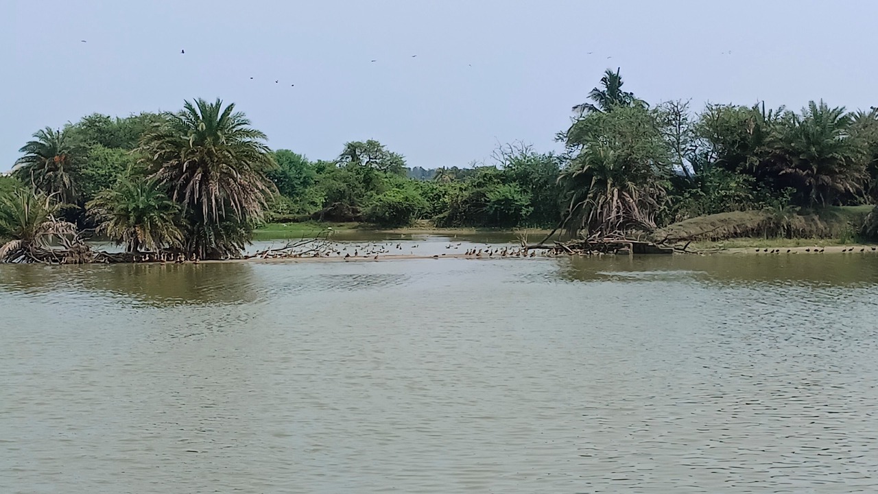 Photo of Outdoor in Kanthi