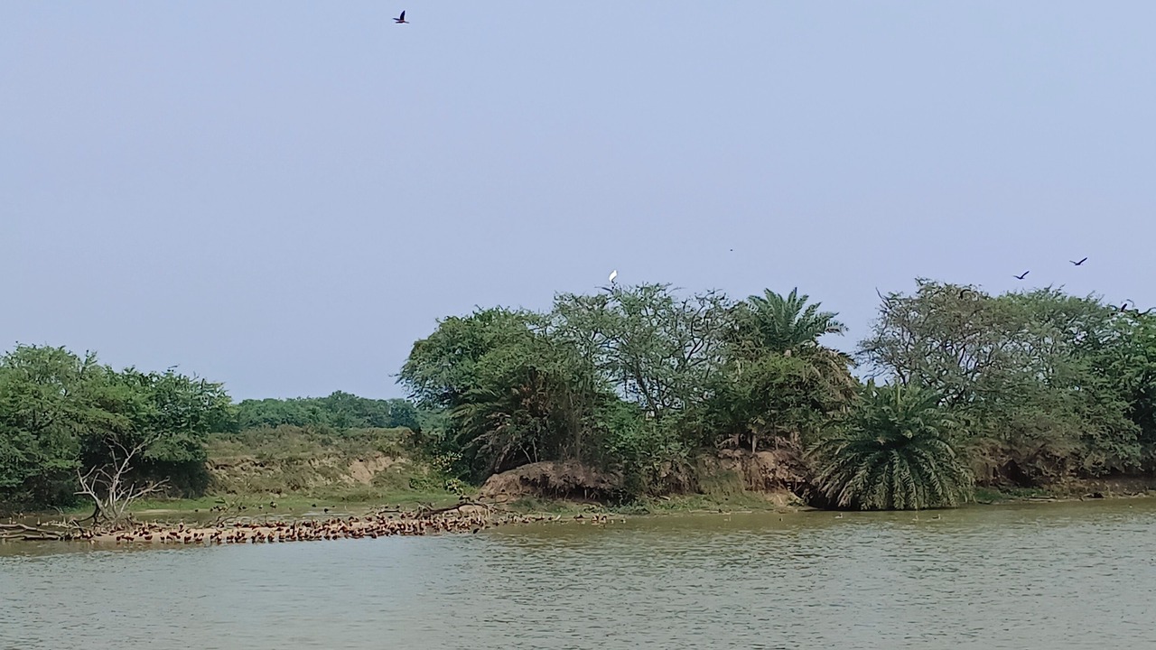 Photo of Others in Kanthi