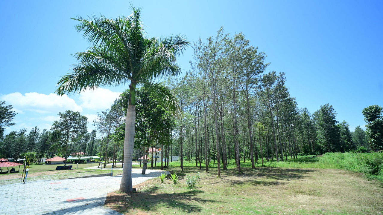 Photo of Outdoor in Kushalnagar