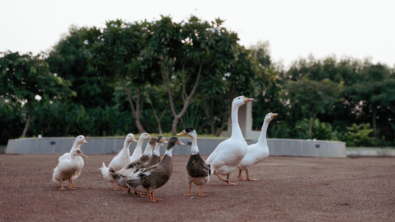 Photo of Outdoor in Sangareddi