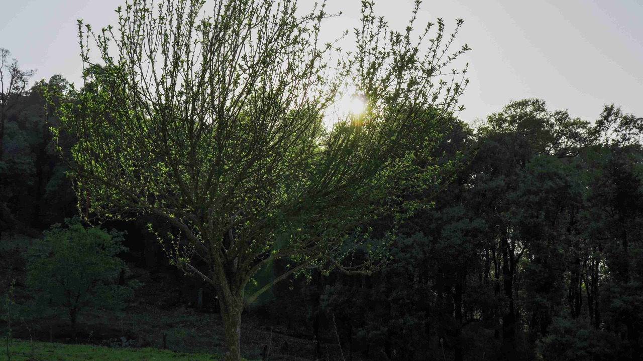 Photo of Outdoor in Bullawala
