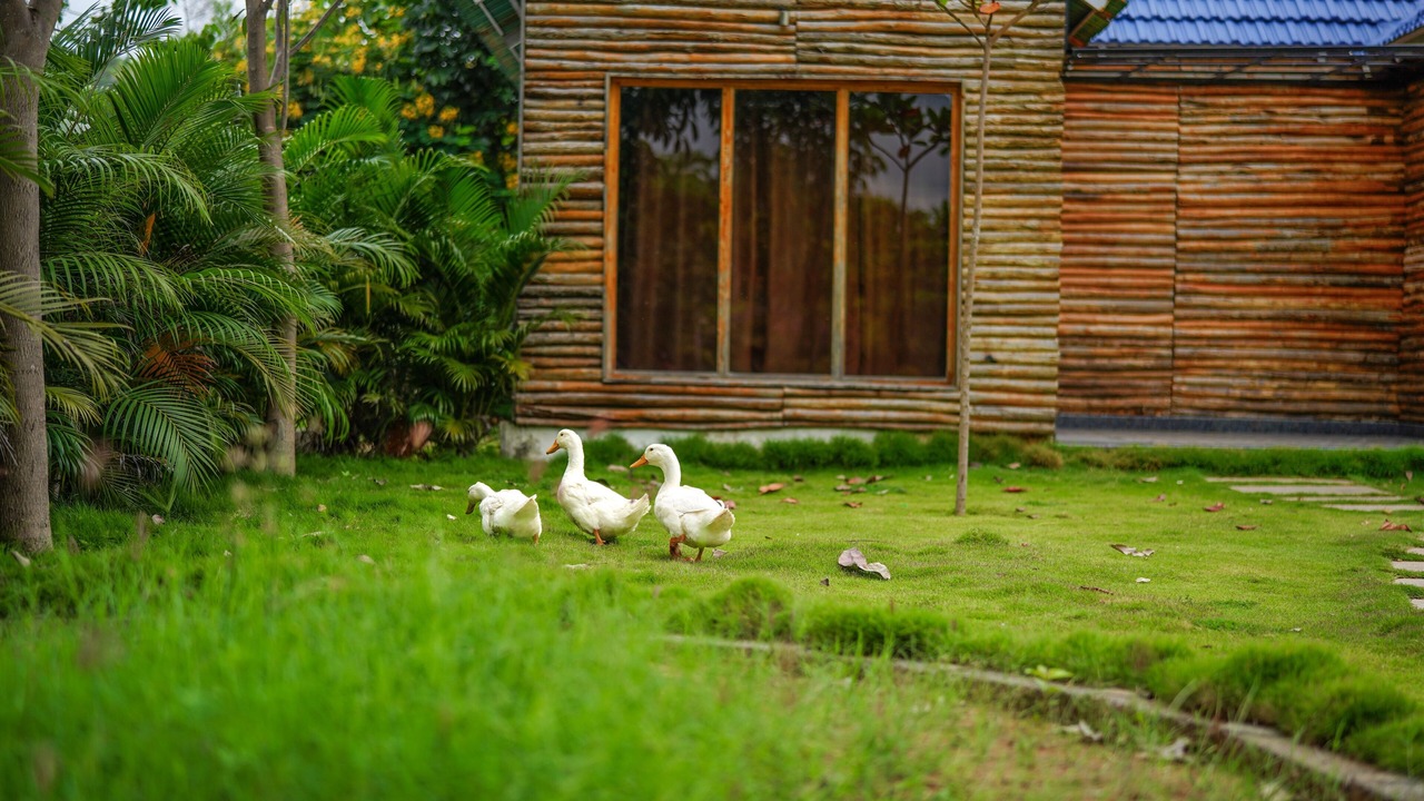 Photo of Outdoor in Kanakapura