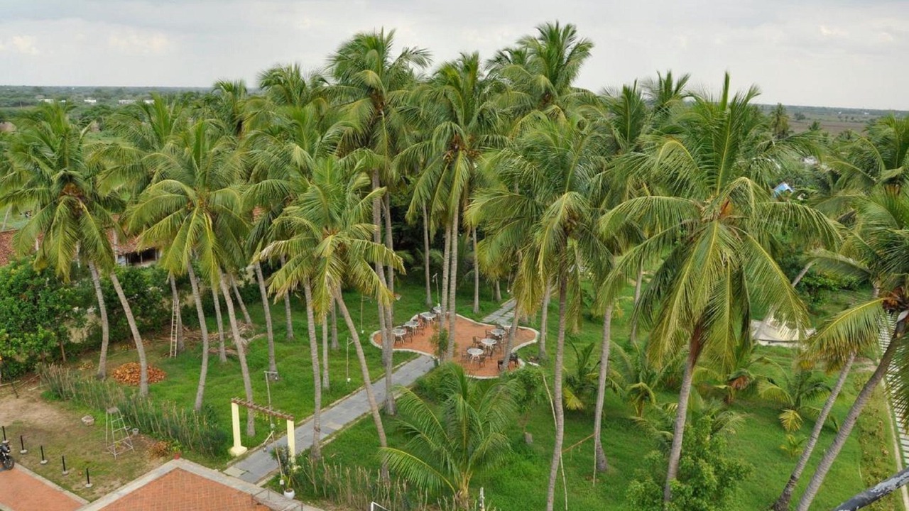 Photo of Outdoor in Chidambaram