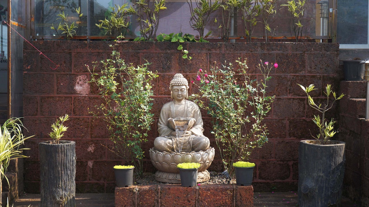 Photo of Outdoor in Medha