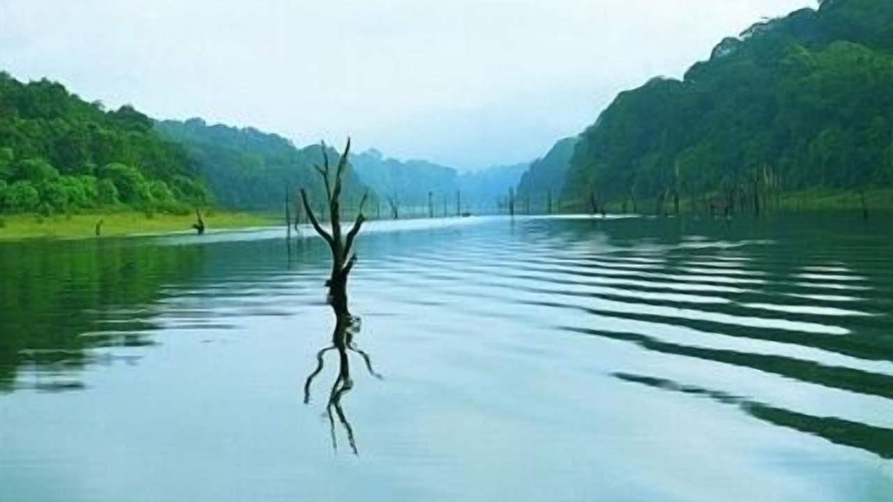 Photo of Outdoor in Ramakkalmedu