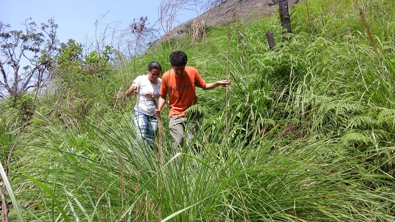 Photo of Outdoor in Devikolam