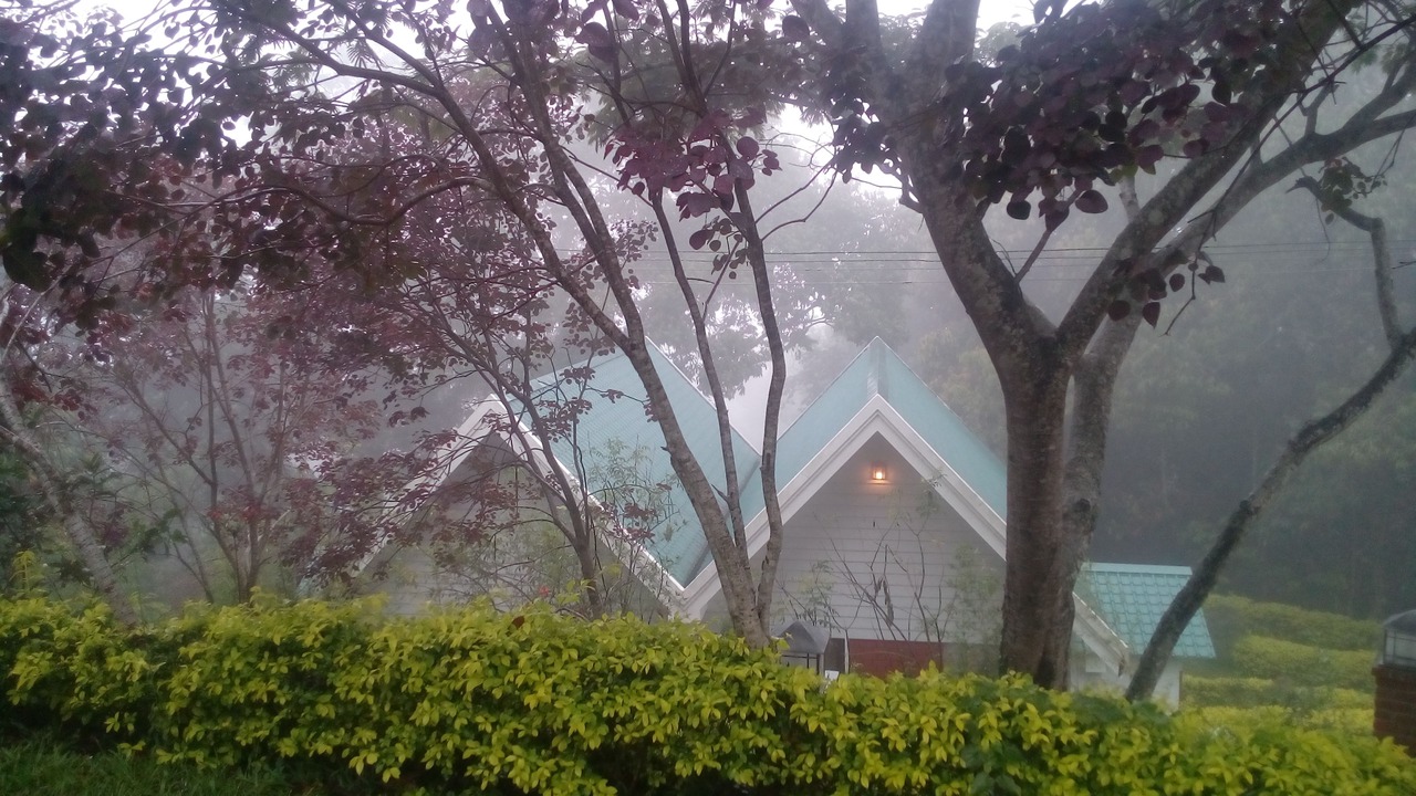 Photo of Outdoor in Devikolam