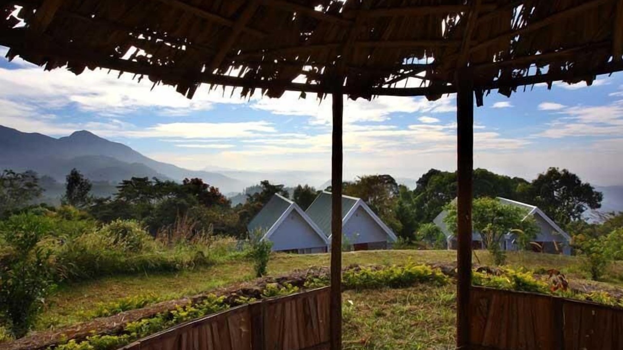 Photo of Outdoor in Devikolam