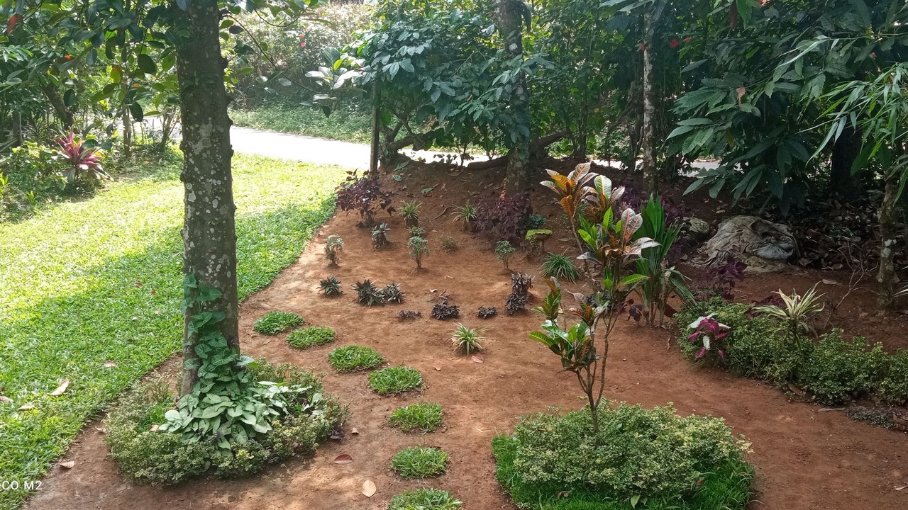 Photo of Outdoor in Vayittiri