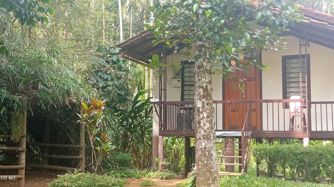 Photo of Others in Vayittiri