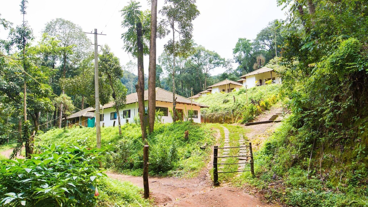 Photo of Outdoor in Madikeri