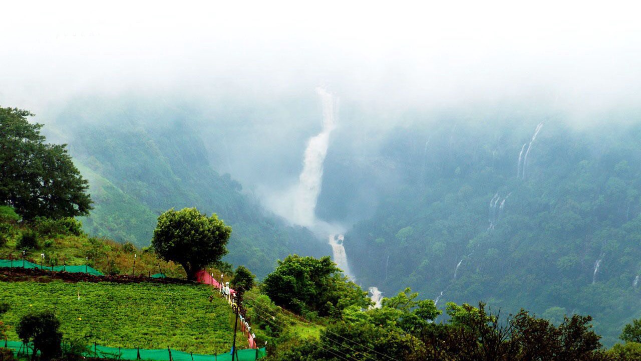 Photo of Others in Satara