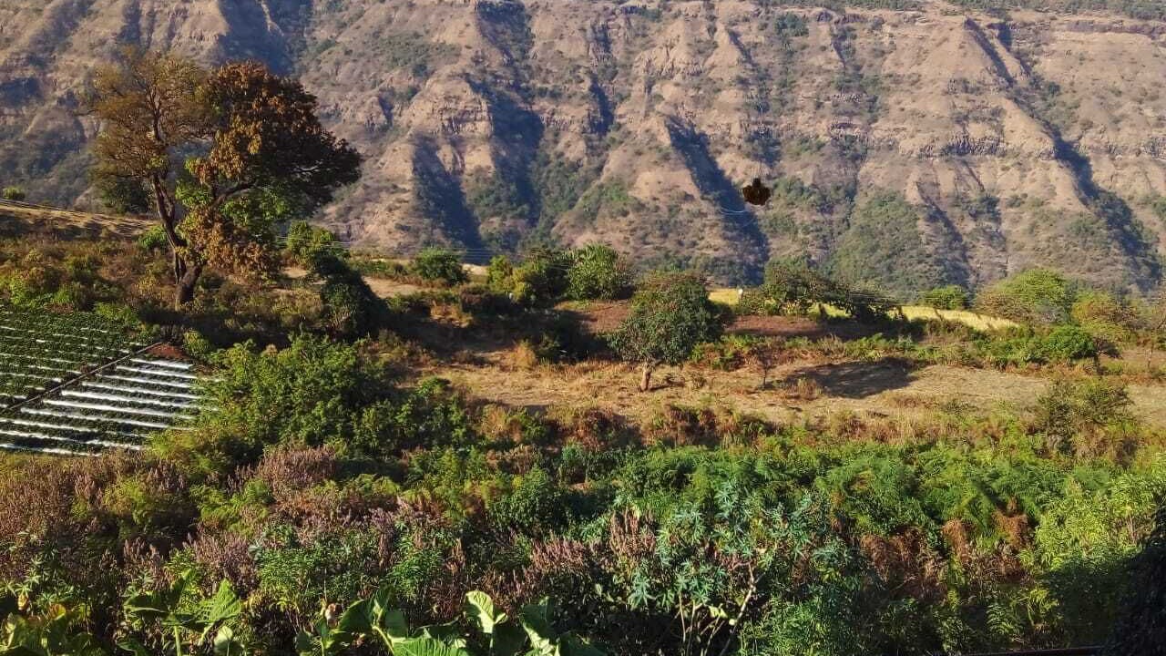 Photo of Outdoor in Satara
