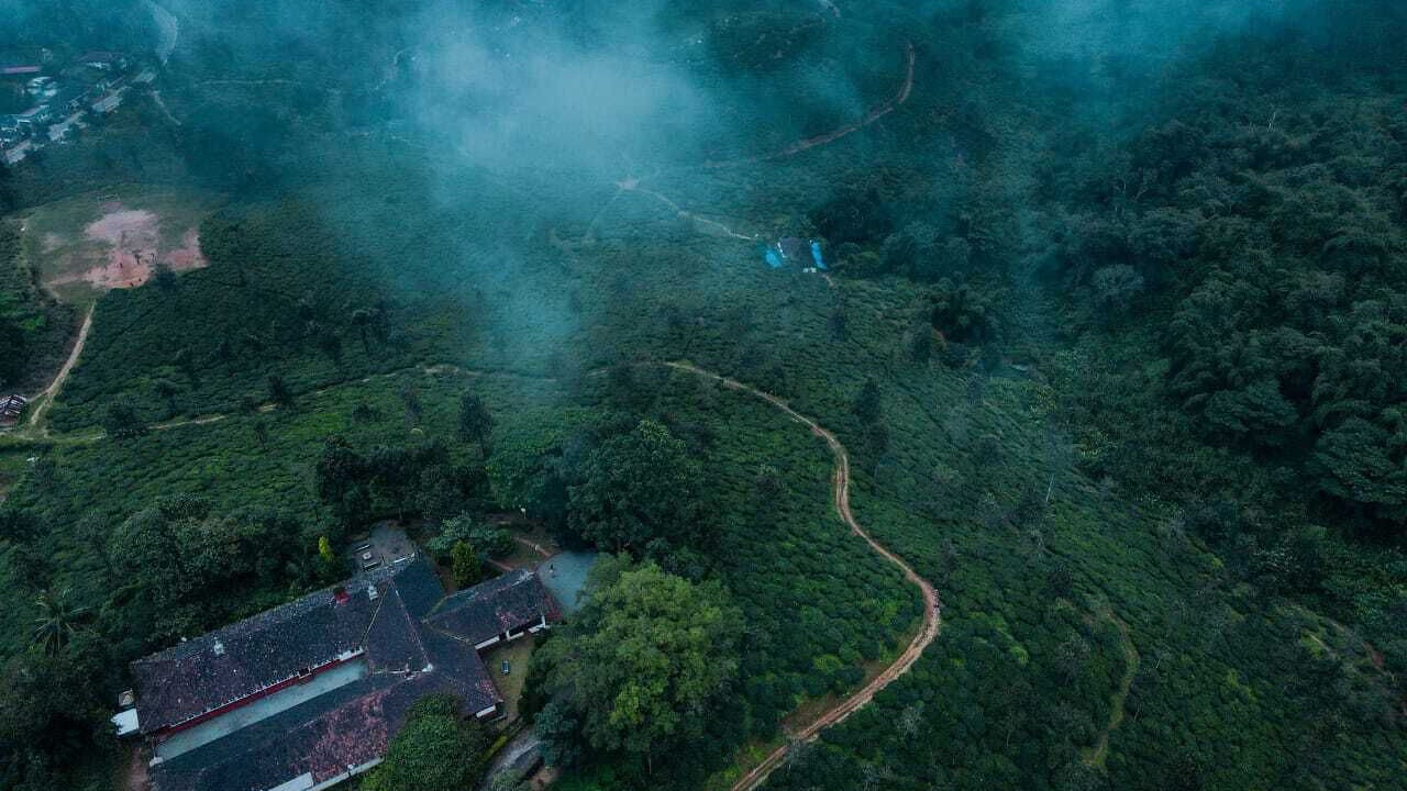 Photo of Outdoor in Meppadi