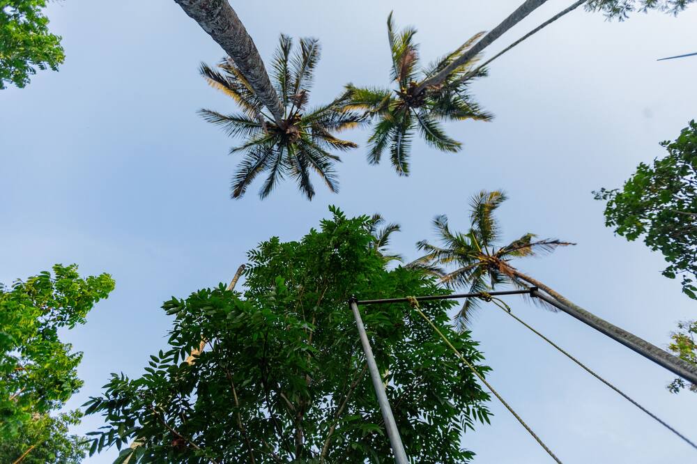 Photo of Outdoor in Anachal