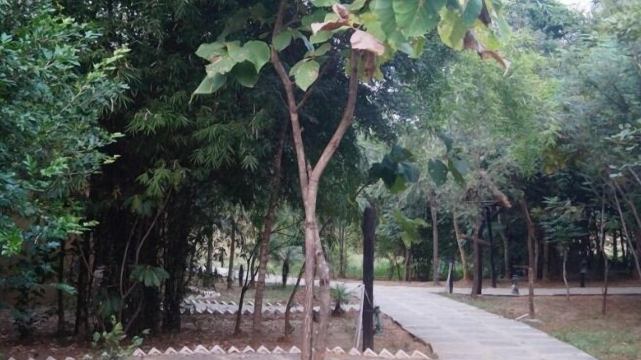 Photo of Outdoor in Khatia
