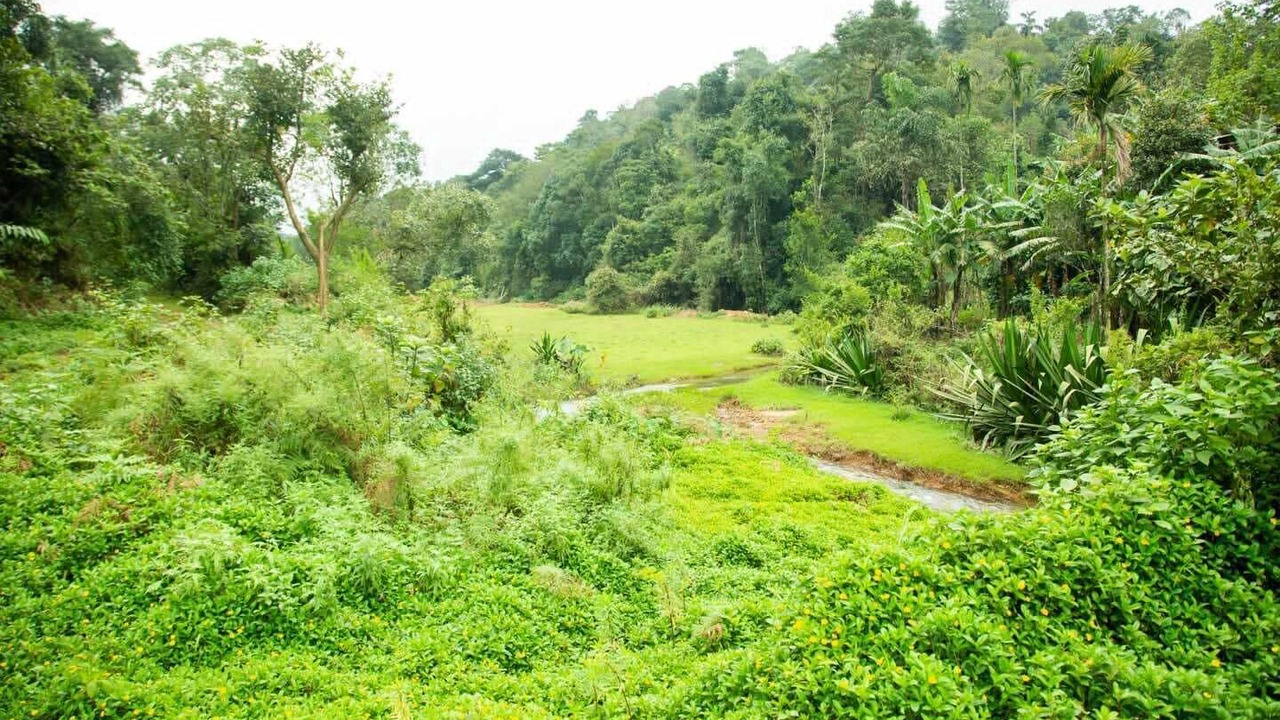 Photo of Patio Balcony in Madikeri