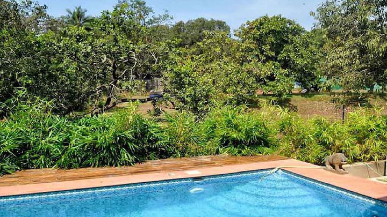 Photo of Outdoor in Chapora