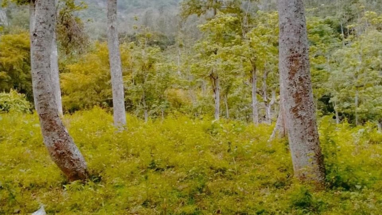 Photo of Outdoor in Periyur