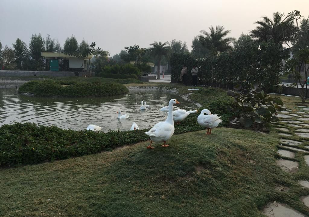 Photo of Outdoor in Sanand