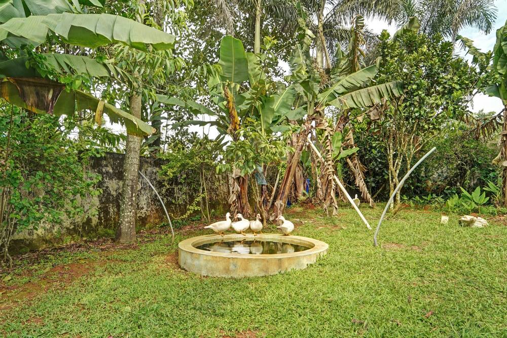 Photo of Outdoor in Udumbanchola