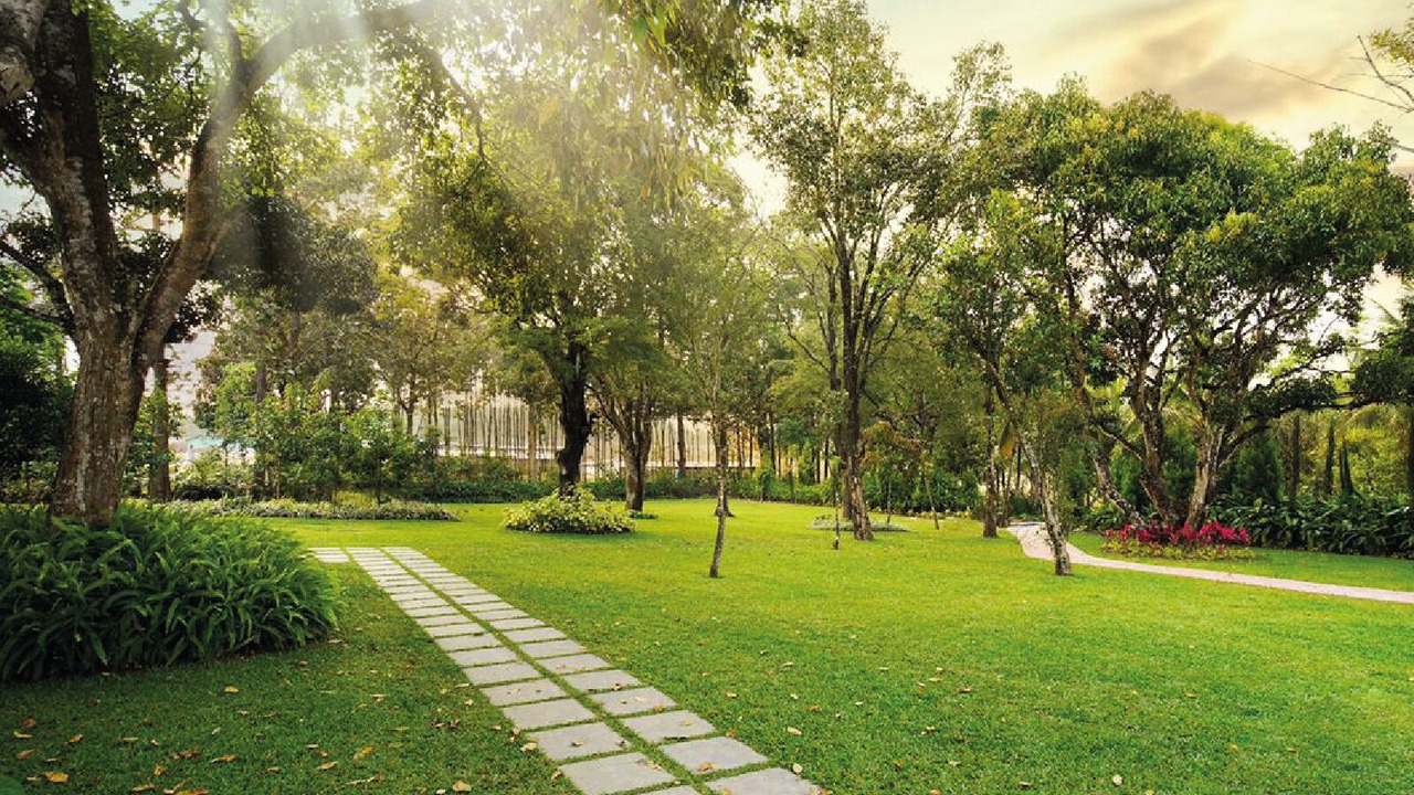 Photo of Outdoor in Alur