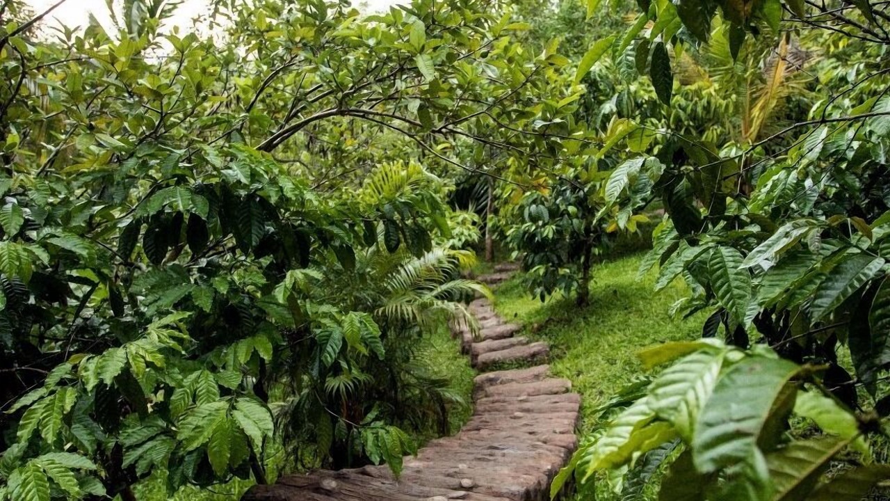 Photo of Outdoor in Kolagappara