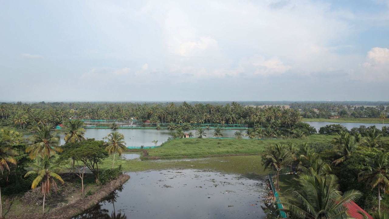 Photo of Outdoor in Kumarakom
