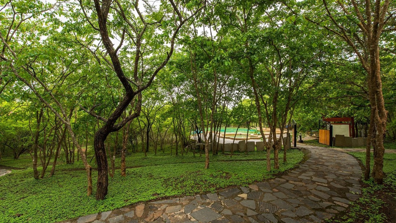 Photo of Outdoor in Bandipur