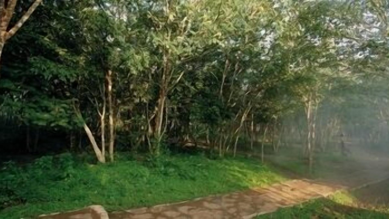 Photo of Outdoor in Bandipur